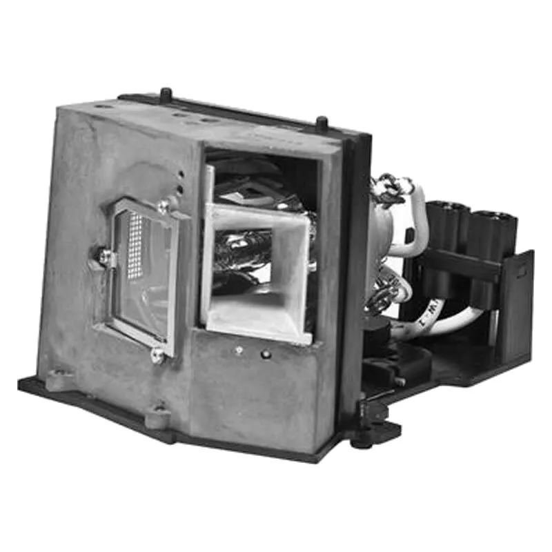 Optoma BL-FS300A / SP.89601.001 Original Lamp